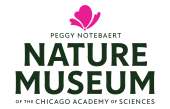 Chicago Academy of Sciences / Peggy Notebaert Nature Museum