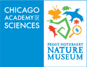 Chicago Academy of Sciences / Peggy Notebaert Nature Museum